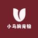 小马驹宠物用品店