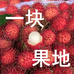 一块果地