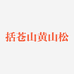括苍山黄山松