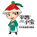 平西小宝皓仁茶叶