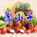 淘小子果蔬农场
