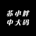 苏小胖中大码女装