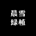 晨雪绿植