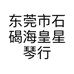 东莞市石碣海皇星琴行的小店