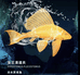 利莹水族馆