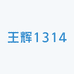 王辉1314