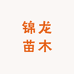 锦龙苗木