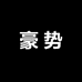 豪势数码专营店