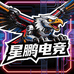 星鹏网络游戏服务
