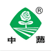 农科院中蔬种业