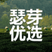 瑟芽小店