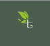 七Seven