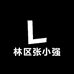 林区张小强