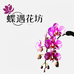 蝶遇花坊