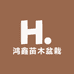 鸿鑫苗木盆栽