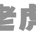 两只老虎大码女装