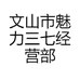 文山市魅力三七经营部