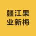 疆江果业新梅捌店