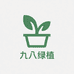 九八绿植