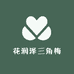 宜良花润泽三角梅
