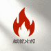 ZP打火机如故店