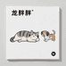 龙胖胖宠物