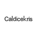 CaldiceKris金饰品专卖店