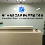 海口美兰区晨紫系电子商务工作室的小店个体店