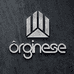 ORGINESE个体店