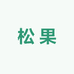 松果童鞋专营店