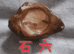 石六