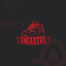 MAGICSNEAKERS