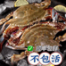 舟山梭子蟹发货基地