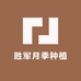胜军月季种植中心
