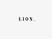 Lion服饰
