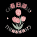 春日部战衣优选