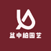 盆中柏园艺