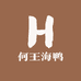何王海鸭