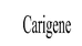 Carigene海外旗舰店