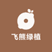 飞熊绿植