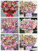 顺博花舍