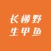 长柳野生甲鱼沾养甲鱼批发店