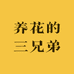 养花的三兄弟