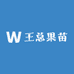 王总果苗