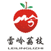 荔枝生鲜果园