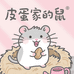 皮蛋儿家的鼠