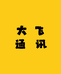 大飞严选数码