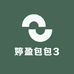 婷盈包包3