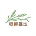 发财银柳花艺仿