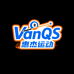 VanQS Cue 惠杰运动